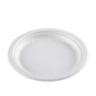 Biodegradable Bagasse Packaging Disposable Plates Fast Food Dishes