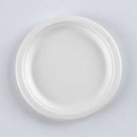 100% Biodegradable Disposable Wholesale Disposable Charger Dinner Plate Set