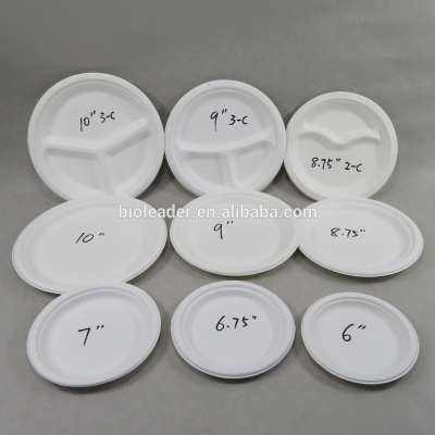 Safes Vegetable Plant Biodegradable Sugarcane Bagasse Disposable Dinner Plate