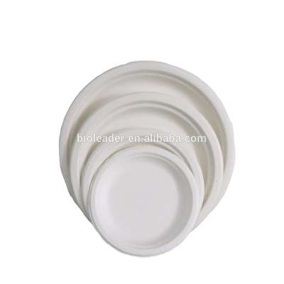 Eco-friendly Biodegradable Disposable Paper Plates