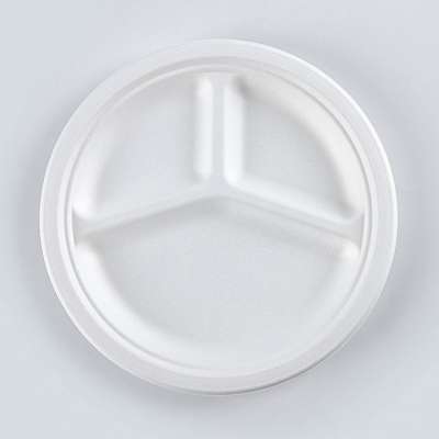 Biodegradable Disposable Sugarcane Bagasse Plate Dishes