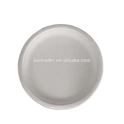 Biodegradable Disposable Sugarcane Bagasse Bamboo Dinner Plate