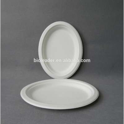 Disposable Sugarcane Bagasse Dish Dinner Charger Plates